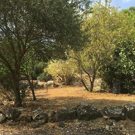Chez Tatie Menie Oda ve Kahvaltı