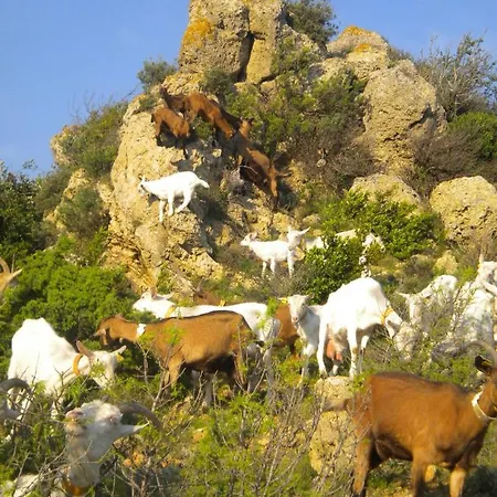 Chez Tatie Menie 3* Fraissé-des-Corbières